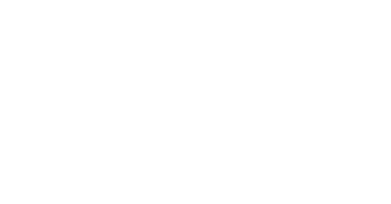 ドレスクリニーングファインロゴ